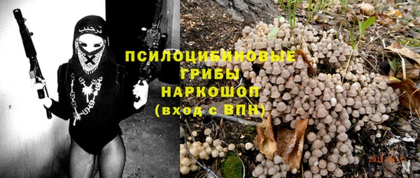 эйфоретик Арсеньев