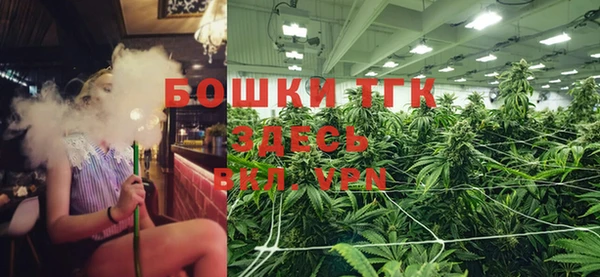 эйфоретик Арсеньев