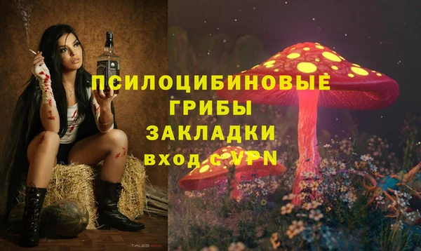 MDMA Premium VHQ Аркадак