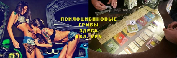 эйфоретик Арсеньев