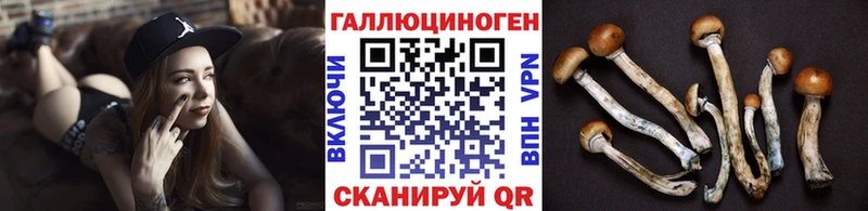 blacksprut зеркало  что такое   Новая Ляля  Псилоцибиновые грибы мицелий 